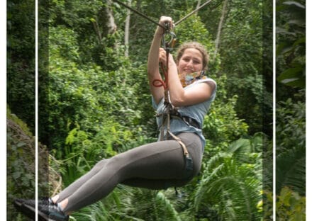 Galería de imágenes en miniatura