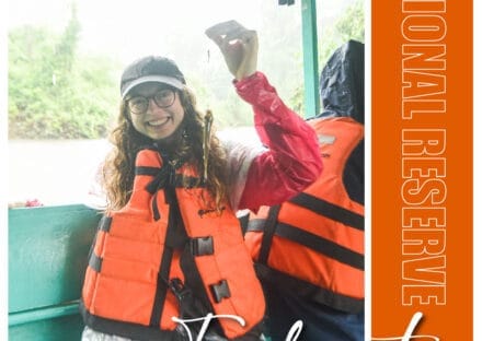 Galería de imágenes en miniatura